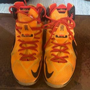 Nike Lebron 12